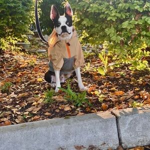 Meet your Posher, Maria